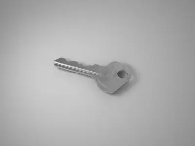 Simple Key Free 3D model