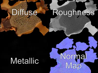 Armadillo D Model Pack with Textured Shell Low-poly 3D model