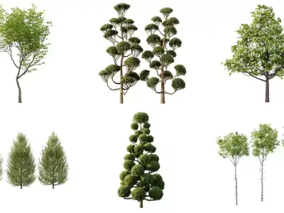 Excellent collection of Outdoor plants 11 Different Models 0032