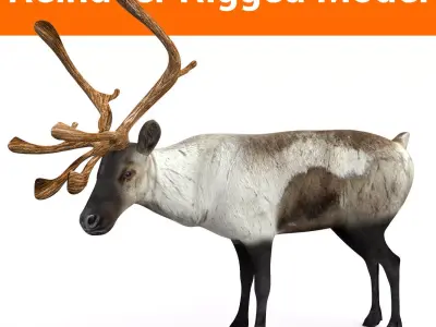 Snow Reindeer Rigged  Low-poly 3D model