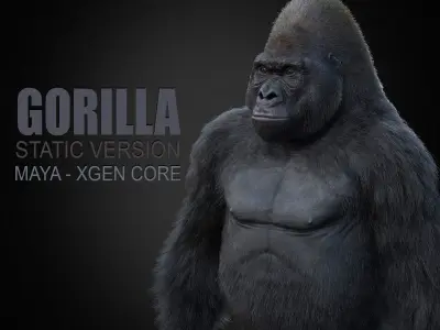 Gorilla 3 STATIC XGEN CORE 3D model
