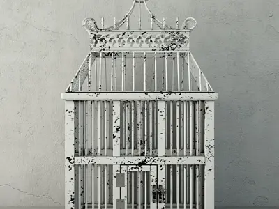 Zinan Decorative Cage by ZARA HOME 3D model