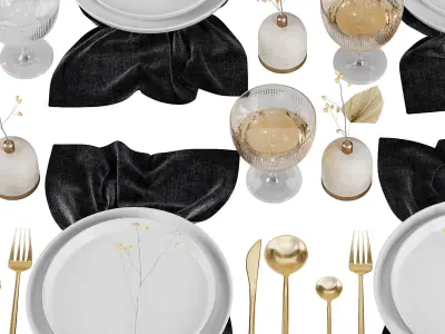 Table Setting V6 3D model