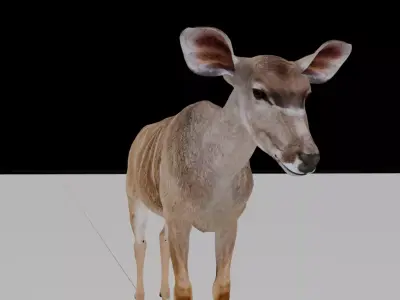 TragelaphusStrepsiceros deer Low-poly 3D model