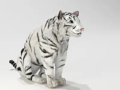 White tiger 3D model