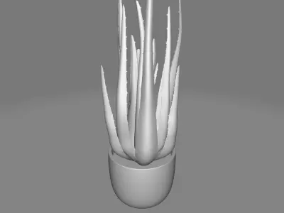 STORIES DESKTOP SUCCULENT PLANT IN POT 3D model
