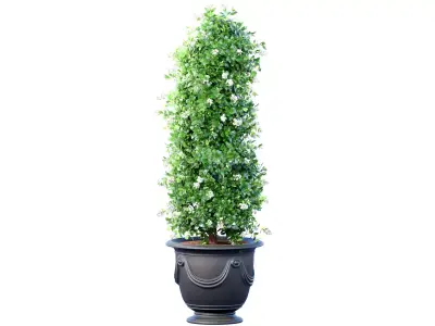 Decorative tree bush plant in a classic garden pot  3D model