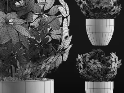 Plants Collection 61 3D model