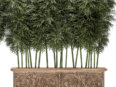 Bamboo tree in classic flowerpots for parks and garden 495 3D model