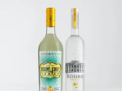 10 Fully Textured Wine  Bottles 3D model