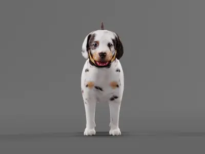 Louisiana Catahoula Leopard Puppy Dog Low-poly 3D model
