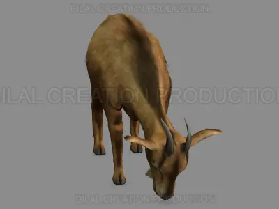 ANIMATED GOAT 3D model