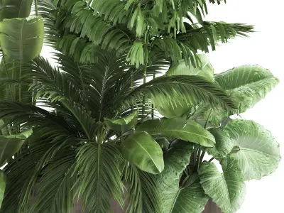 Houseplants in a flowerpot for the interior 919 3D model