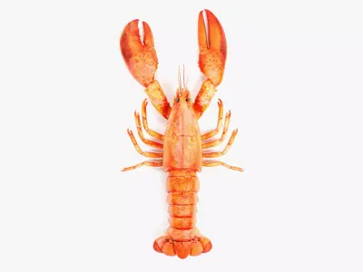 Cooked Lobster - Realistic Crustacean Homarus Americanus 3D model