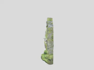 Dark Fantasy Forest Environment Low-poly 3D model