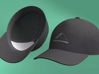 Flex Hat Black  3D model