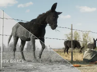 Donkey winter Animation VFX Grace 3D model