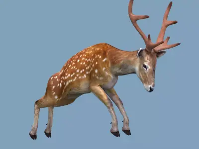 Pro Deer 8K - 3d animated 3D model