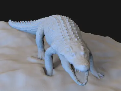 Crocodile 3D model