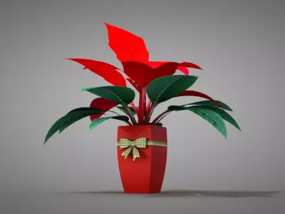 Poinsettia Parrot Beak Plant 3D model