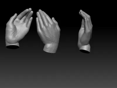 BABY IN TWO HANDS 3D print model