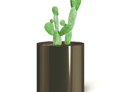 Cactus 3D Model in Metal Pot 3D model