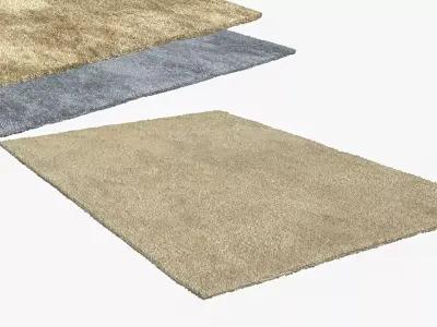 Rectangle rug  three colors 3D model