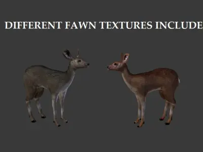 Roe Deer - Fawn Cub Baby Low-poly 3D model