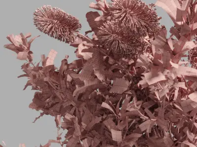 Banksia vase arrangements 2 Low-poly 3D model