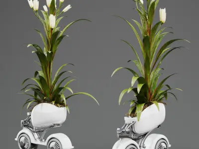 Indoor plant Flower 01 3D model
