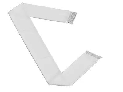 Football Fan Scarf 02 3D model