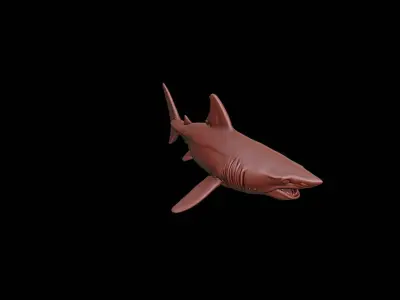 Shark Animal Sculpture 3D print model get
