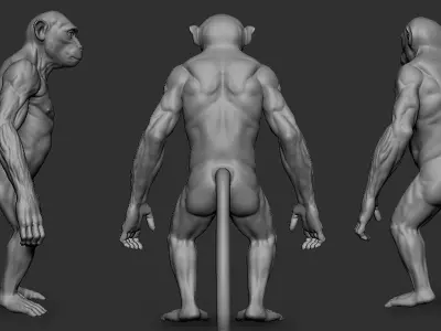 Monkey  3D model