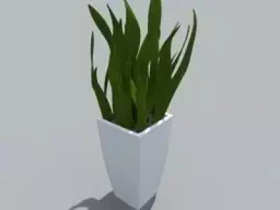 house plant Free 3D model
