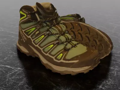 SALOMON X ULTRA 3D SHOES Low-poly 3D model