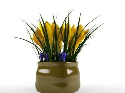 crocus yellow 3D model