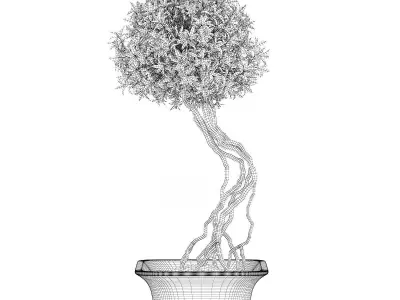 Flowering Tree in Concrete Pot 3D model