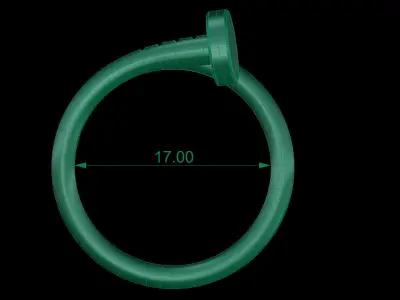 Nail Ring size 17 mm 3D print model