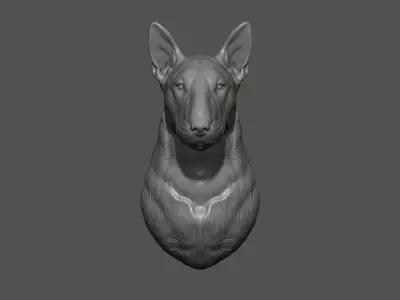 Bull Terrier bust 3D print model