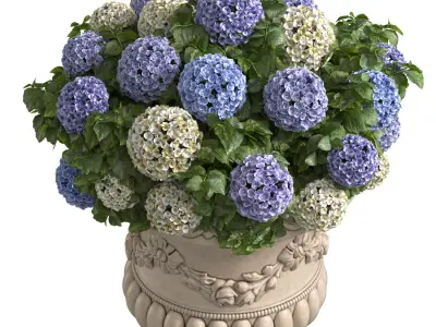 Hydrangea in a classic vase for decoration facade Patio 3D model