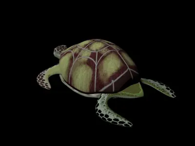 Rigged low-poly turtle  Low-poly 3D model