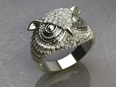 Ring Owl 3D print model