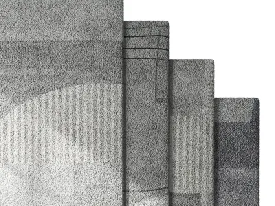 Carpet set 65 3D model