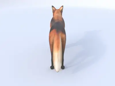 Maned Wolf 3D model