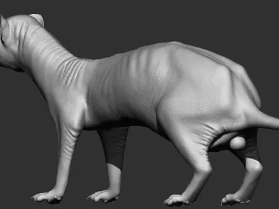 VFX Ready ferret 3d model  3D model