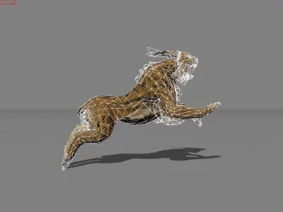 Lynx Animal Wildcat Low-poly 3D model
