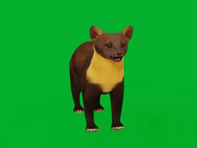 European Pine Marten Low-poly 3D model