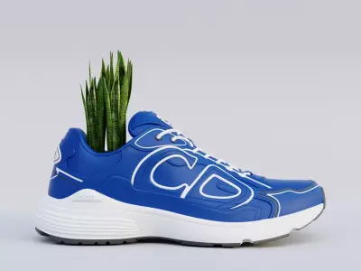 Dior B30 Countdown Sneaker 3D printed shoes Dior 3D print model