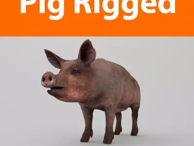 Pig Rigged Model  Low-poly 3D model