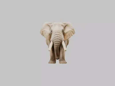 Realistic 3D Elephant Model - High Quality Animal Sculpture Low-poly 3D model